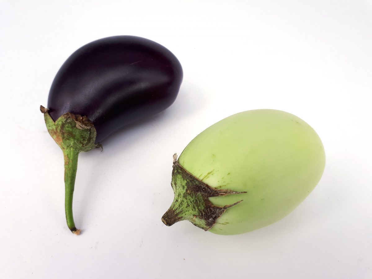 2 x Small eggplant 2017 A