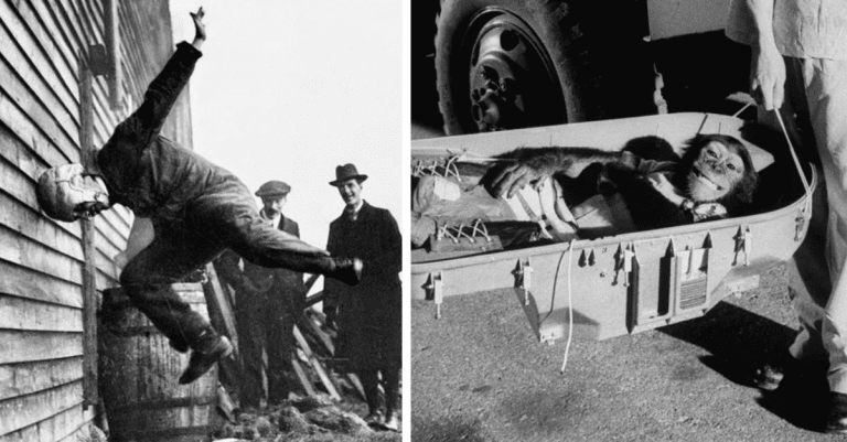 Historické fotografie, ktoré vás vrátia do minulosti #358 -Maľovanie Eiffelovej veže a pašeráci s kravskými kopytami