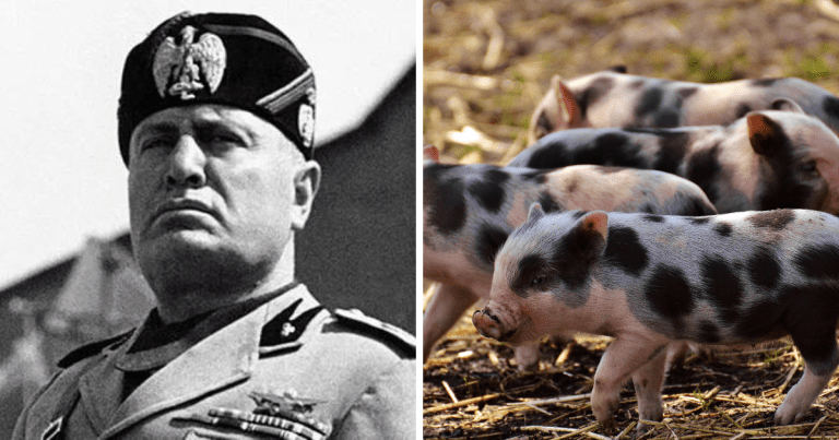 Zaujímavosti ku káve, ktoré ti zaručene rozšíria obzory #1634 – čo je to Mpemba efekt a ako skončil Benito Mussolini?