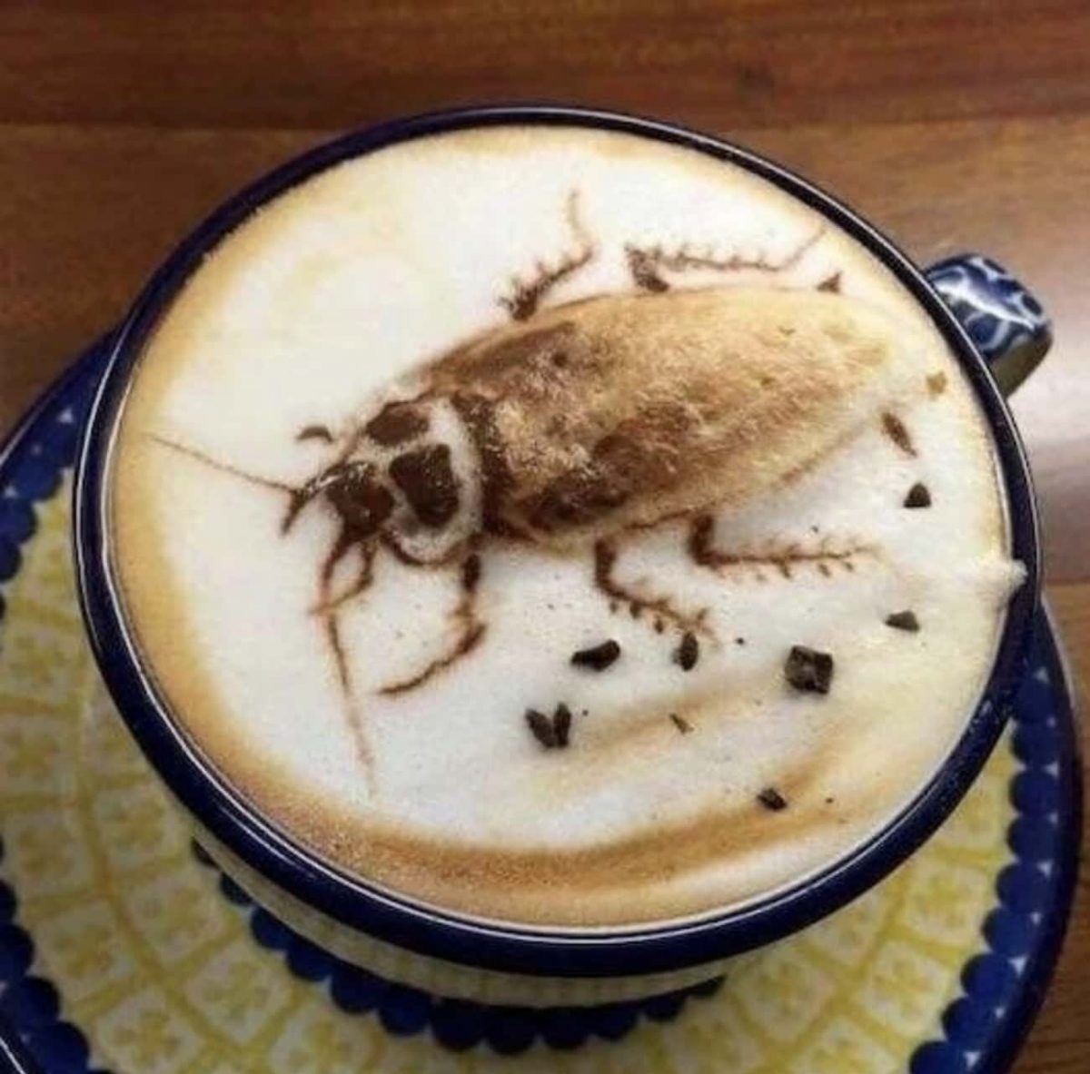 cockroach latte photo u1