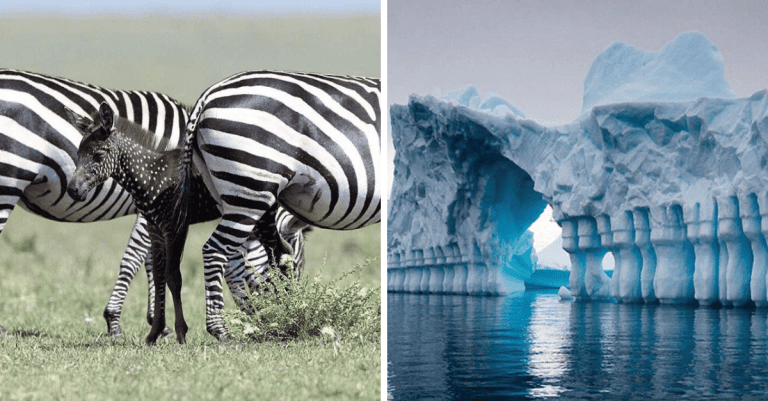 15 úžasných fotografií prírody, ktoré ukazujú krásu Zeme