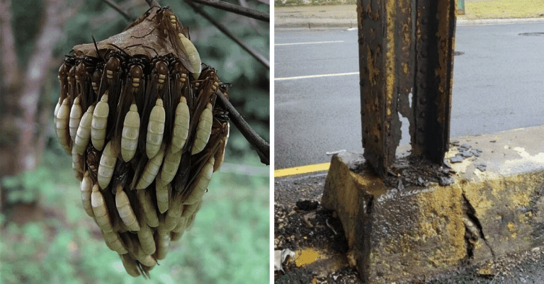10 znepokojivých fotografií, ktoré vo vás zanechajú zmiešané pocity