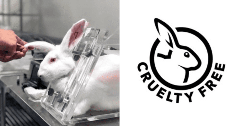Nálepka „cruelty free”, no ako v skutočnosti vyzerá testovanie na zvieratách? Z týchto informácií až mrazí 
