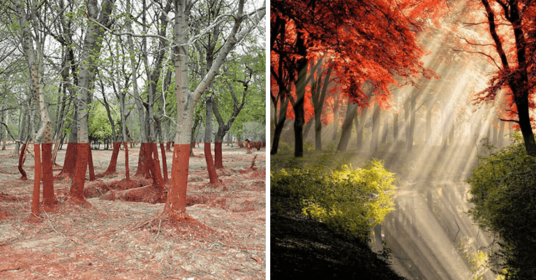 Sľubujeme, že tieto fotografie nie sú upravené vo Photoshope