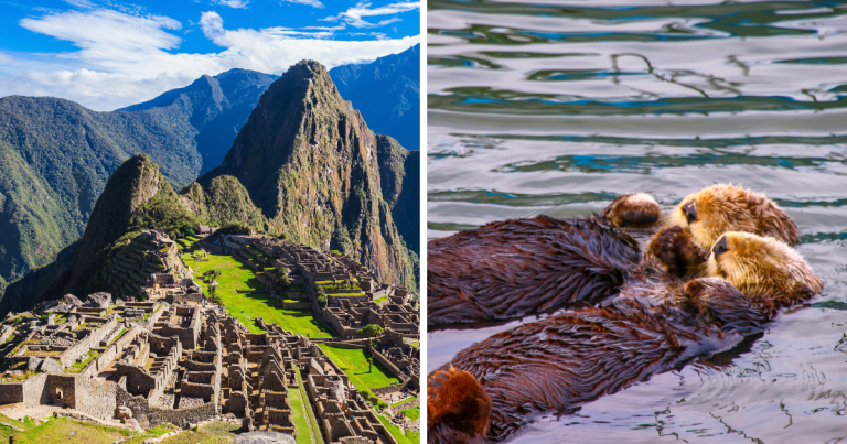 Zaujímavosti ku káve, ktoré ti zaručene rozšíria obzory #1659 – 5300 ročná múmia Otzi a na čo vlastne slúžilo Machu Picchu?