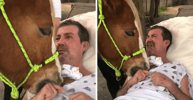 Po nehode skončil pripútaný k lôžku a pri návšteve terapeutického koňa sa neubránil slzám. Pozrite si toto dojemné video