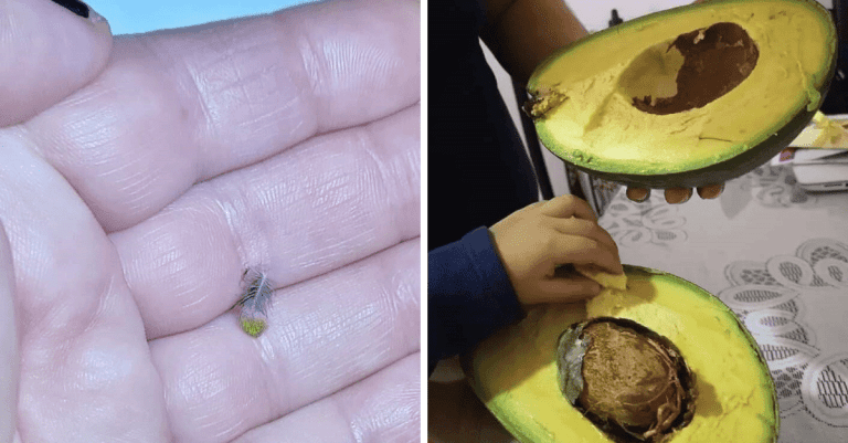 14 podmanivých fotografií, ktoré vám ukážu, aký je život fascinujúci