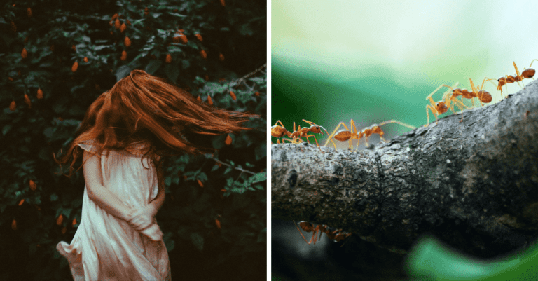 10 bizarných faktov, ktoré sú však pravdivé