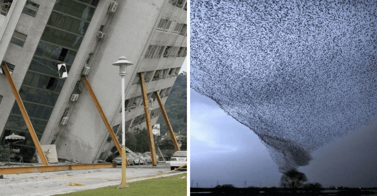 12 neupravených fotografií, ktoré vám vyrazia dych