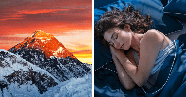 Zaujímavosti ku káve, ktoré ti zaručene rozšíria obzory #1679 – koľko stojí výstup na Mount Everest a kto bol holub Gustav?