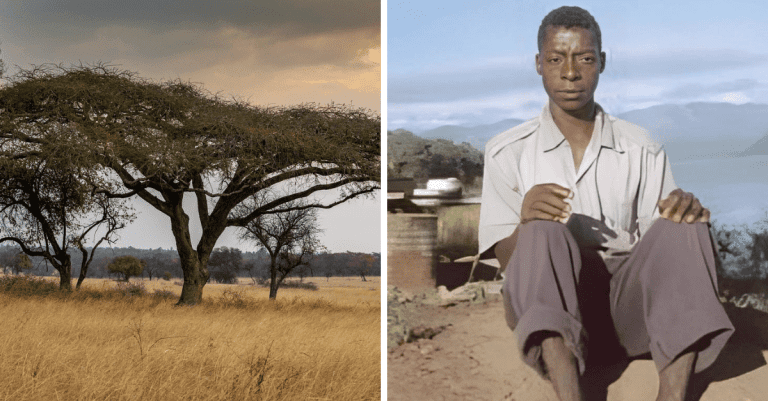 Záhadný africký kmeň: Prečo majú jeho obyvatelia pštrosie nohy?