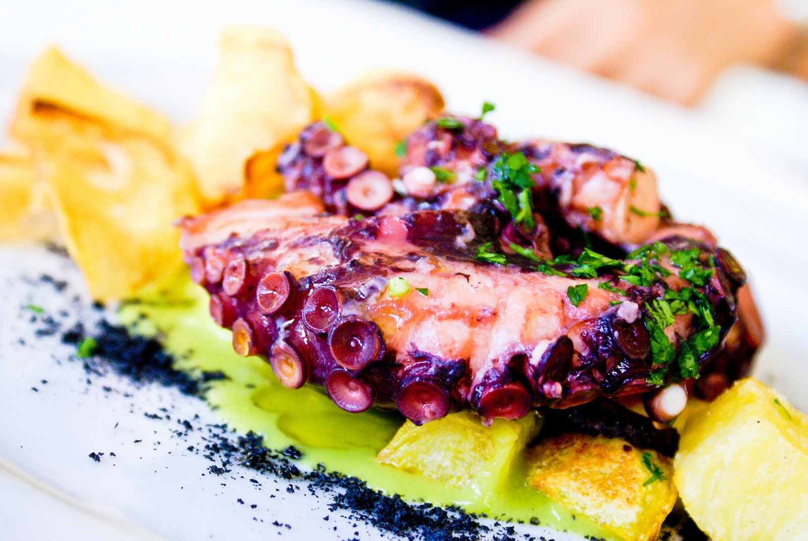 Purple and Brown Food on White Surface
