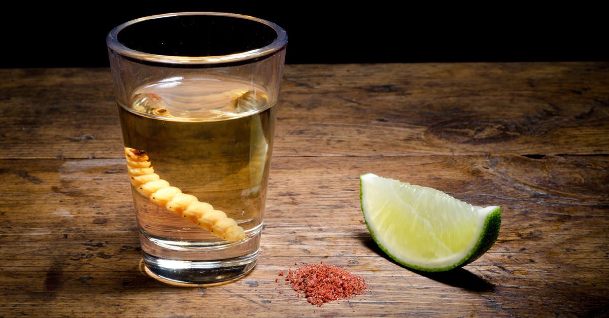 tequila worm social
