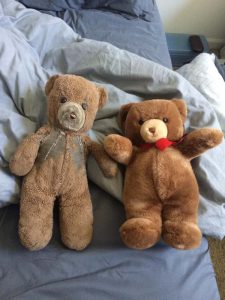 the same teddy bear one after thirty years of use photo u1