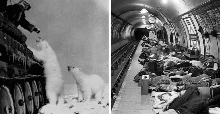 Pohľad do minulosti: 10 historických fotografií, ktoré by ste mali vidieť