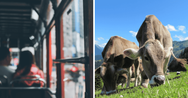12 ľudí sa podelilo o veci, ktoré by ste pri návšteve ich krajiny v žiadnom prípade nemali robiť