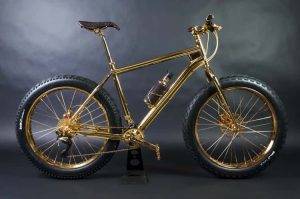 24k gold bicycle photo u1
