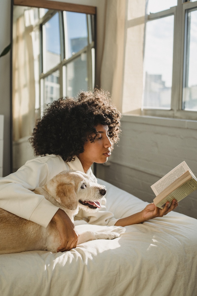 Side view of calm young African American lady embracing funny curious dog while lying together on bed and reading interesting novel