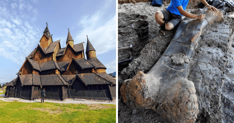 Zaujímavosti ku káve, ktoré ti zaručene rozšíria obzory #1729 – Gary Plauche zabil únoscu, ktorý sexuálne zneužil jeho 12-ročného syna v priamom televíznom prenose a niektoré suchozemské slimáky spia až tri roky vkuse