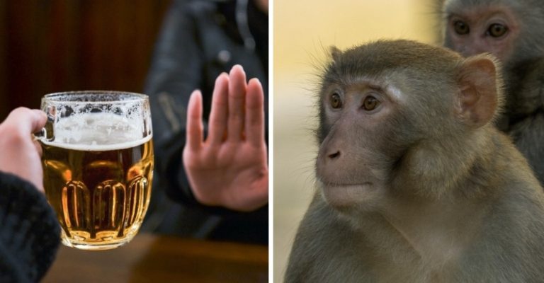 Vedci veria, že našli liek, ktorý by dokázal vyliečiť ľudí z alkoholizmu. V čom spočíva?