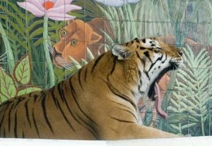 tigers photo u2