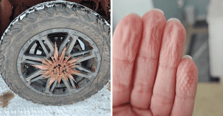10 nečakaných situácií, ktoré dokazujú, že život má v rukáve stále množstvo prekvapení