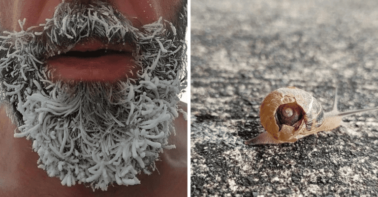 10+ zaujímavých fotografií, ktoré vám odpovedia na otázku „Čo ak?“