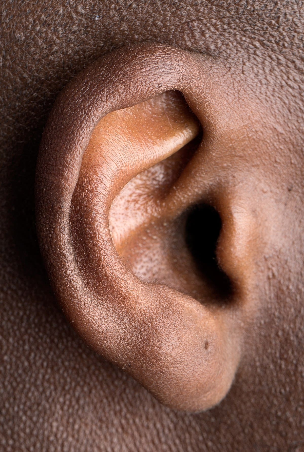 1200px Human right ear cropped