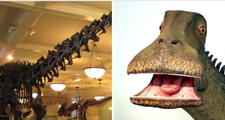 Ohromujúce fakty o dinosauroch. Mnohé z nich vás úprimne prekvapia.