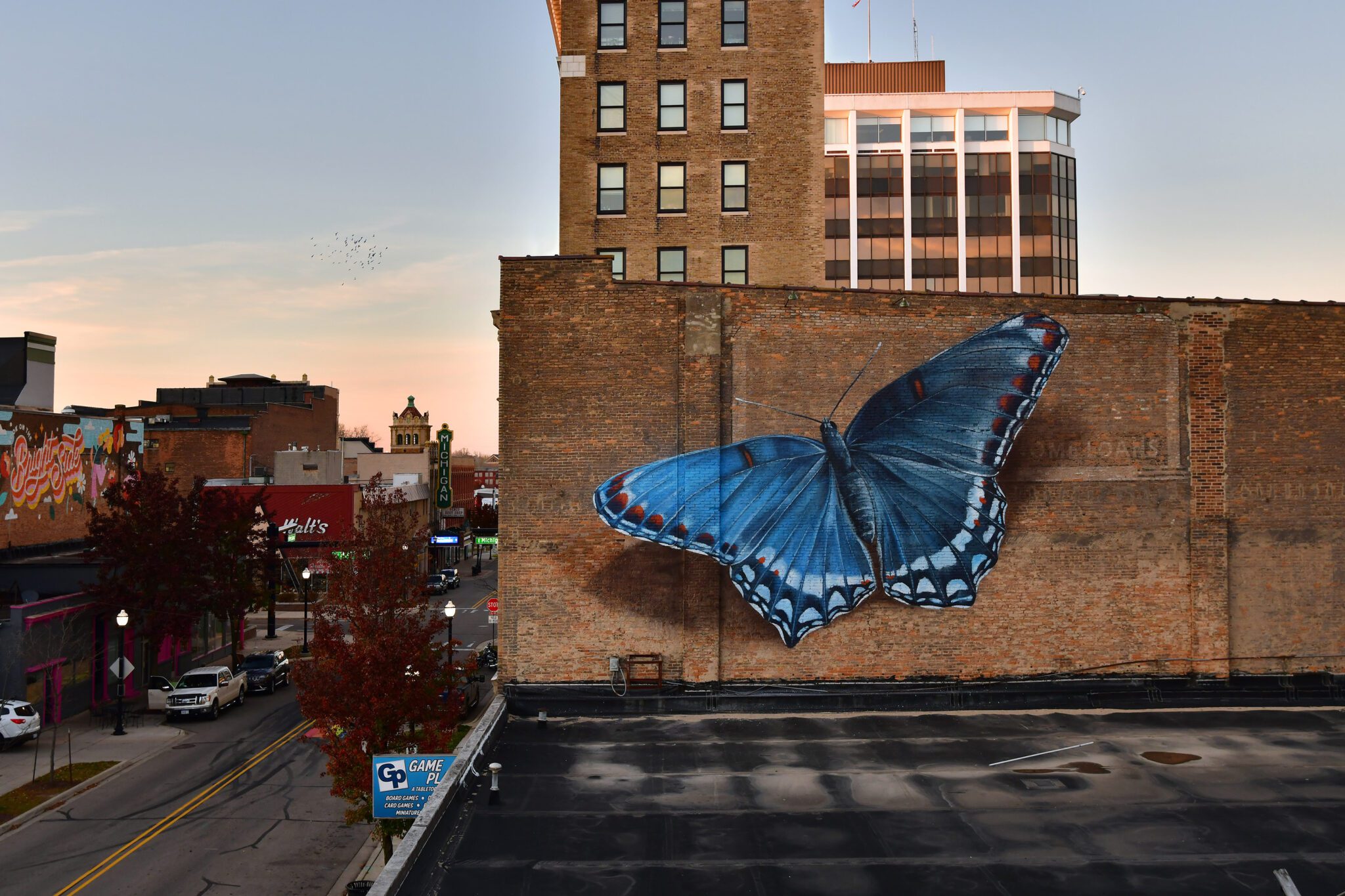beautiful butterfly murals mantra 1 1 2048x1365 2