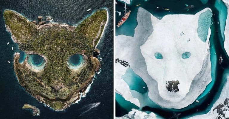 Umelec vytvára netradičné zvieratká pomocou dronu a Photoshopu. Pozrite si na jeho výtvory