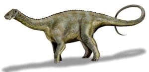 the nigersaurus had 50 rows of teeth photo u1