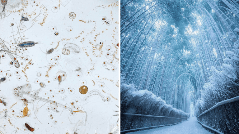 10 úchvatných fotografií, ktoré sú ako vystrihnuté z rozprávky