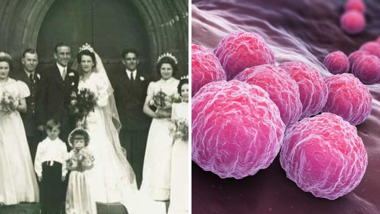 Monogamia – aké sú jej korene a je vôbec pre človeka prirodzená?