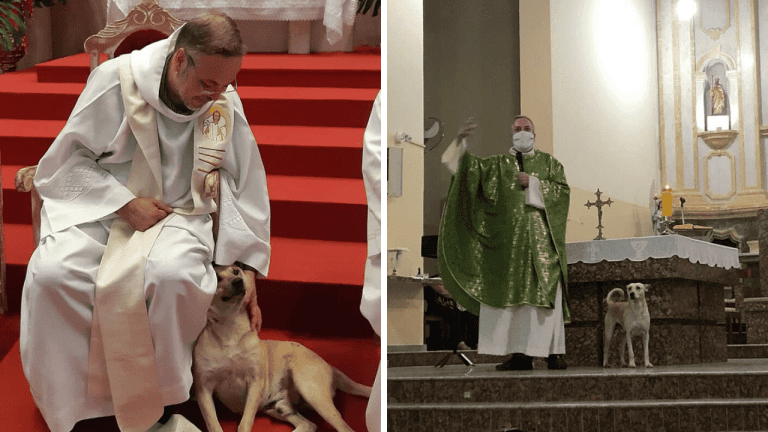 Inšpiratívny príbeh brazílskeho kňaza, ktorý nosí na omše psy hľadajúce domov