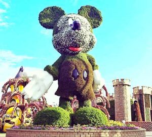 mickey mouse topiary art size dubai miracle garden