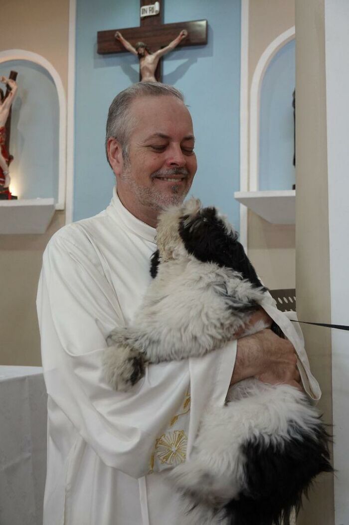 priest rescue dogs 1