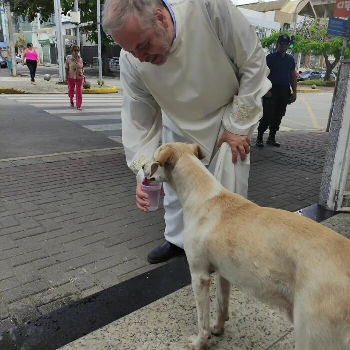 priest rescue dogs 3