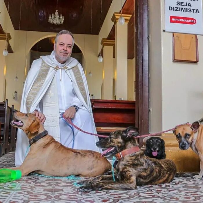 priest rescue dogs 7