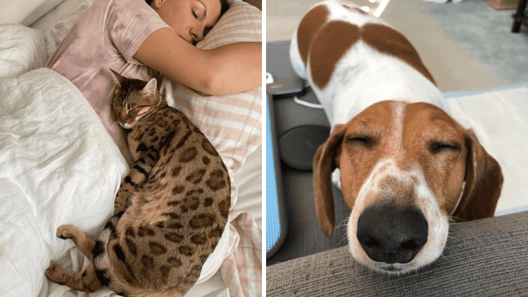 12 rozkošných fotografií, ktoré vám naplnia deň radosťou