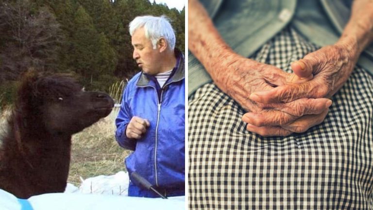 Príbehy plné lásky a  sebaobety, ktoré vám zaručene zlepšia deň.