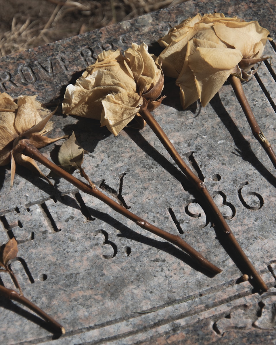 three dead roses are placed on a grave