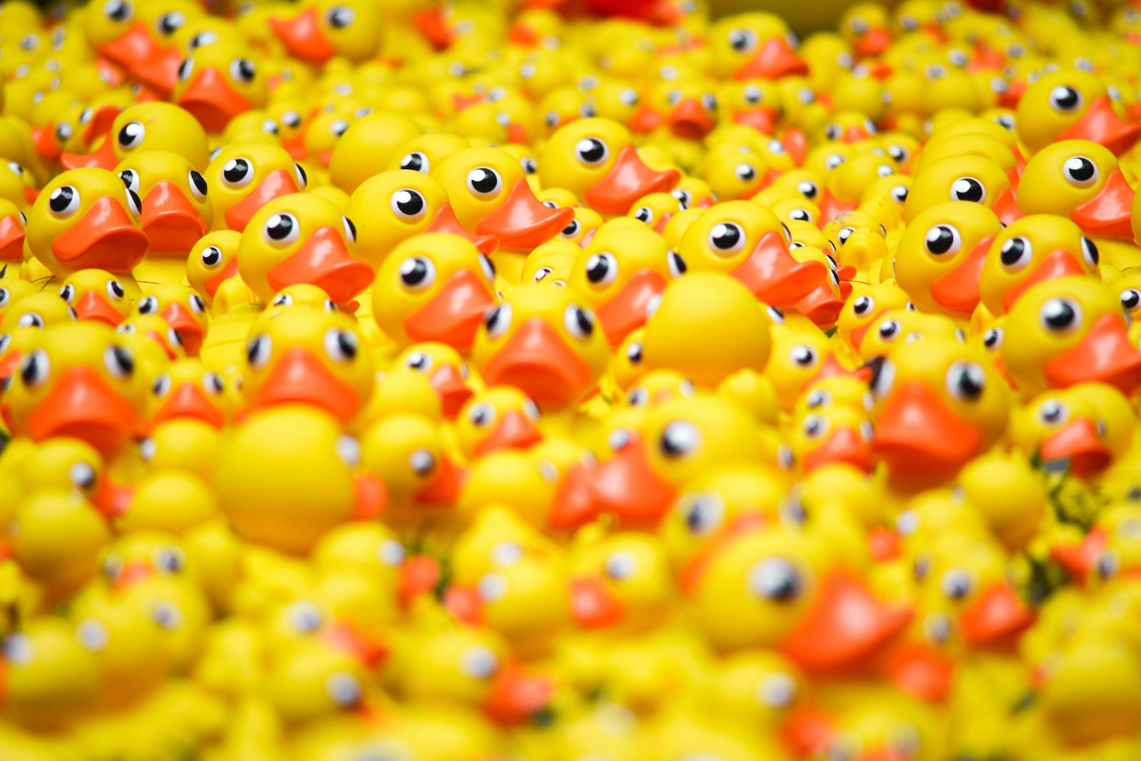pile of rubber duckies