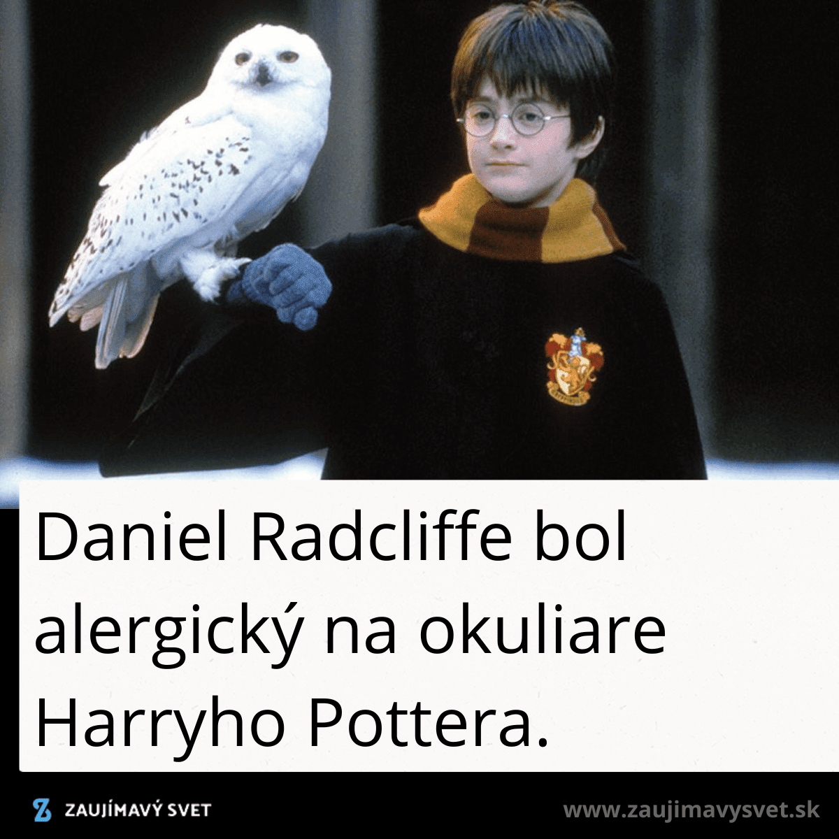 harry poter