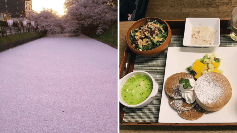 10 fotografií, ktoré vám ukážu, prečo je Japonsko také obľúbené