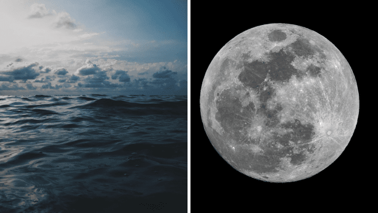 10 nezvyčajných a zaujímavých faktov, ktoré by ste mali vedieť