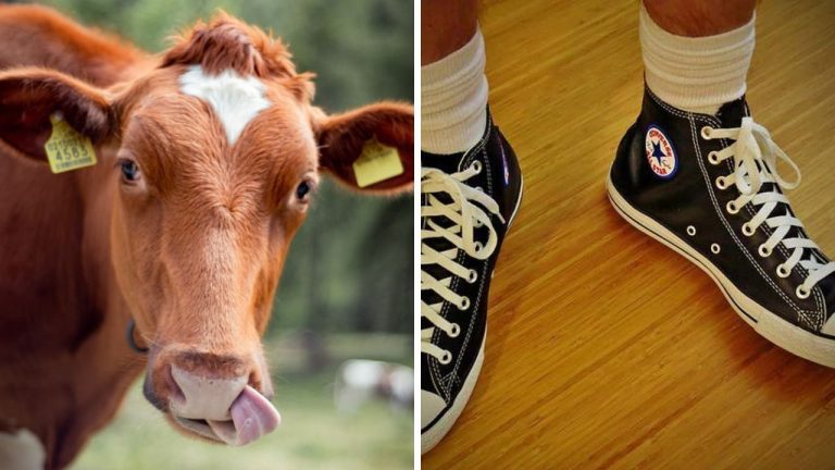 Nobelove ceny za bláznivé objavy. Čo všetko vedci skúmali?