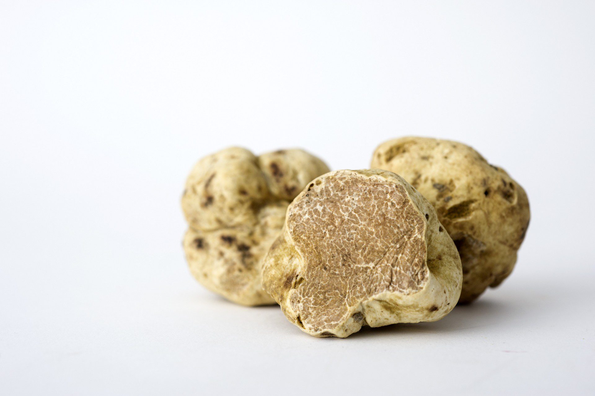 White truffle pic