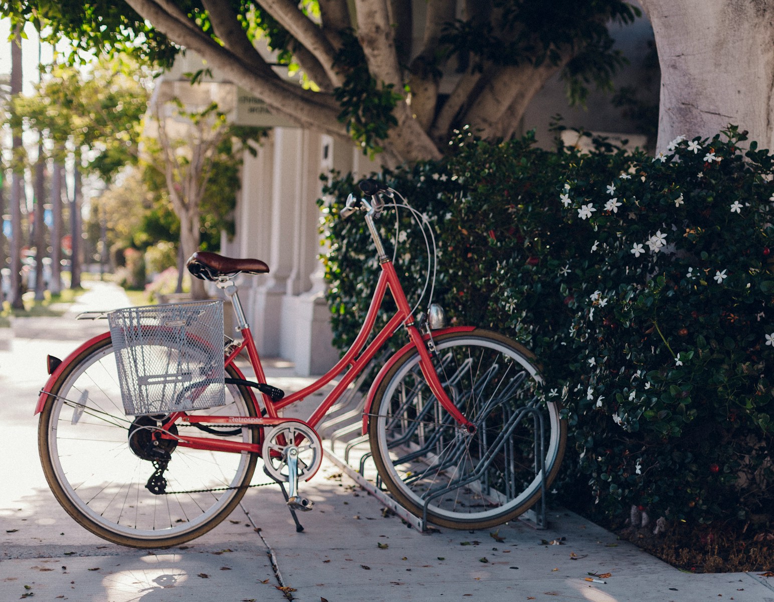 city bike near bush and building at daytime