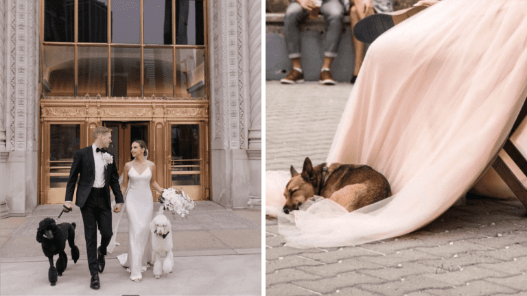 10 nádherných fotografií zo svadieb, ktorých súčasťou boli aj psy